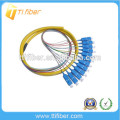 Round Type 12core SM SC Fiber Optic Pigtail